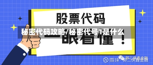 秘密代码攻略/秘密代号1是什么