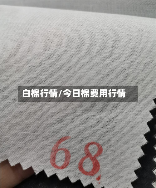 白棉行情/今日棉费用行情