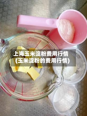 上海玉米淀粉费用行情(玉米淀粉的费用行情)