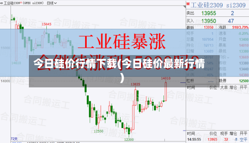今日硅价行情下载(今日硅价最新行情)-第3张图片
