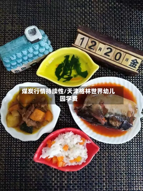 煤炭行情持续性/天津格林世界幼儿园学费-第3张图片