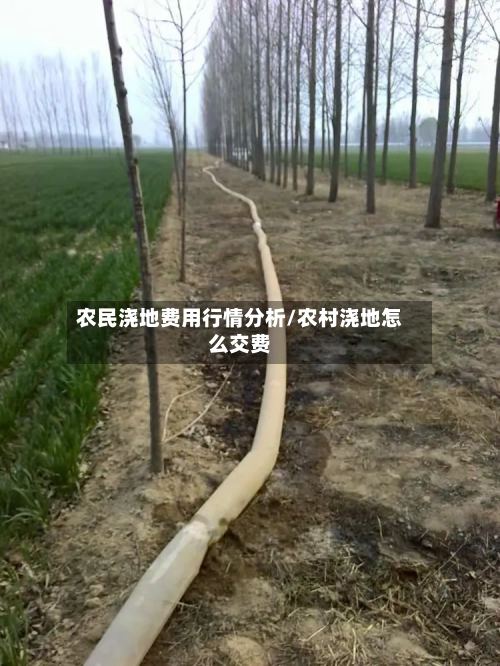 农民浇地费用行情分析/农村浇地怎么交费-第3张图片