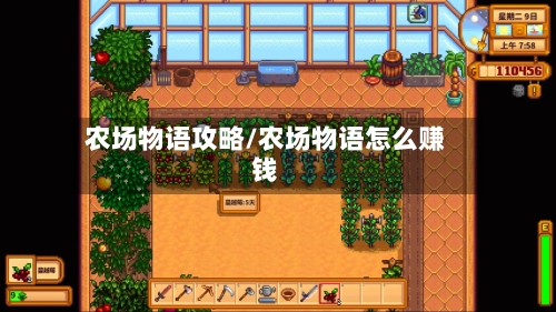 农场物语攻略/农场物语怎么赚钱-第2张图片