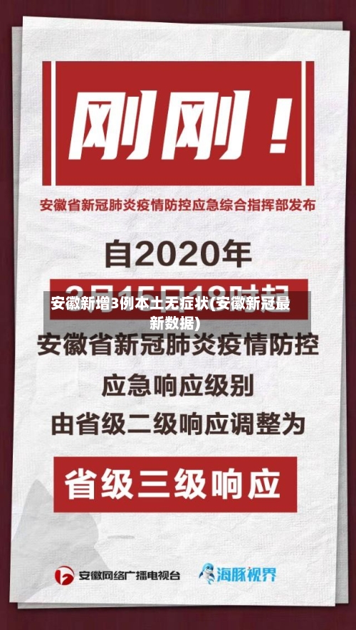 安徽新增3例本土无症状(安徽新冠最新数据)-第2张图片