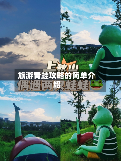 旅游青蛙攻略的简单介绍-第2张图片