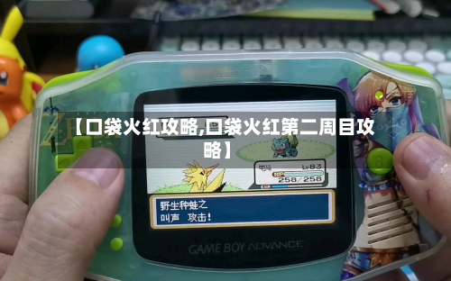 【口袋火红攻略,口袋火红第二周目攻略】
