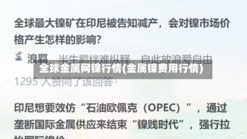 全球金属网镍行情(金属镍费用行情)