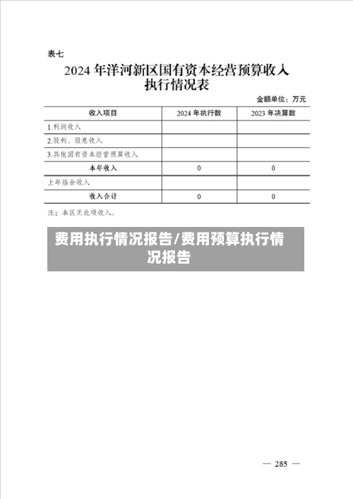 费用执行情况报告/费用预算执行情况报告