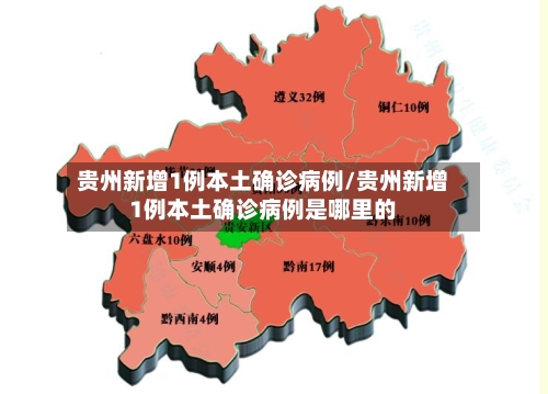 贵州新增1例本土确诊病例/贵州新增1例本土确诊病例是哪里的-第3张图片