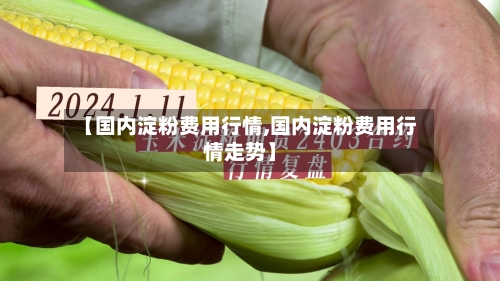 【国内淀粉费用行情,国内淀粉费用行情走势】-第2张图片