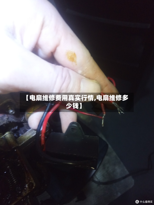 【电扇维修费用真实行情,电扇维修多少钱】-第2张图片