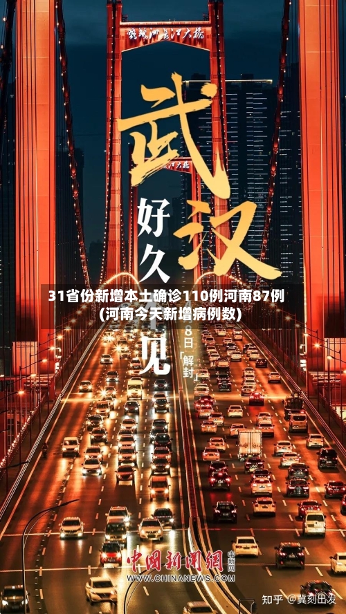 31省份新增本土确诊110例河南87例(河南今天新增病例数)