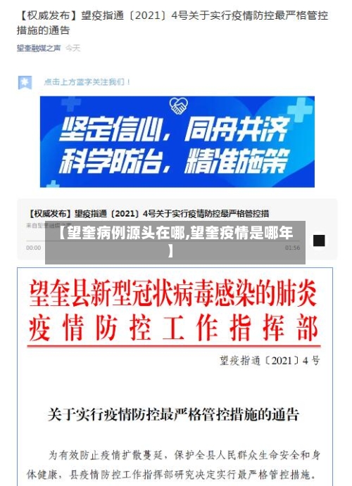 【望奎病例源头在哪,望奎疫情是哪年】-第2张图片