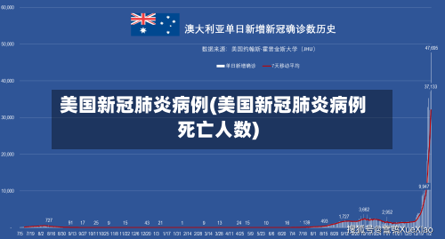 美国新冠肺炎病例(美国新冠肺炎病例死亡人数)