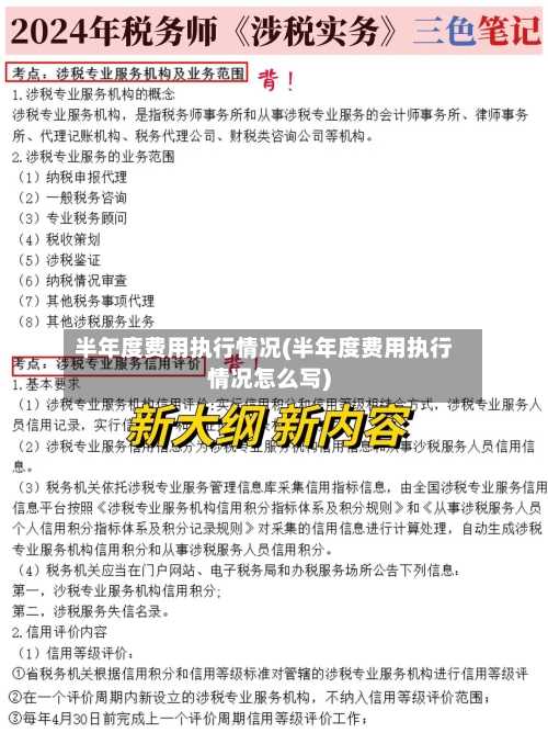 半年度费用执行情况(半年度费用执行情况怎么写)-第3张图片