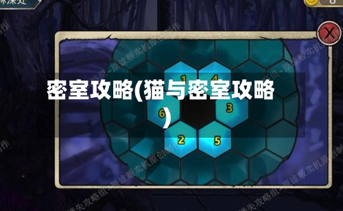 密室攻略(猫与密室攻略)-第3张图片