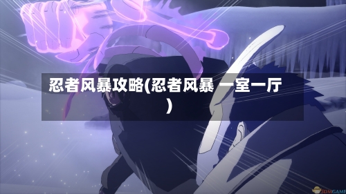 忍者风暴攻略(忍者风暴 一室一厅)-第1张图片