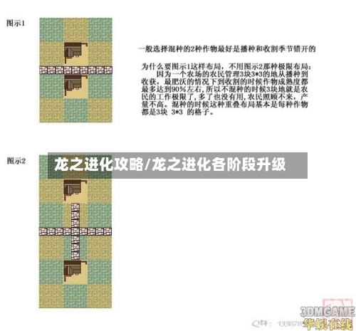 龙之进化攻略/龙之进化各阶段升级-第2张图片