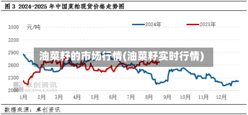 油菜籽的市场行情(油菜籽实时行情)-第2张图片
