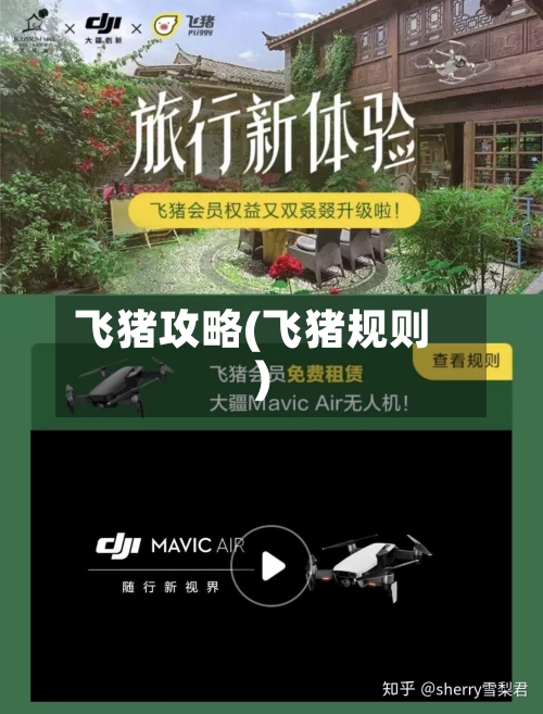 飞猪攻略(飞猪规则)-第1张图片