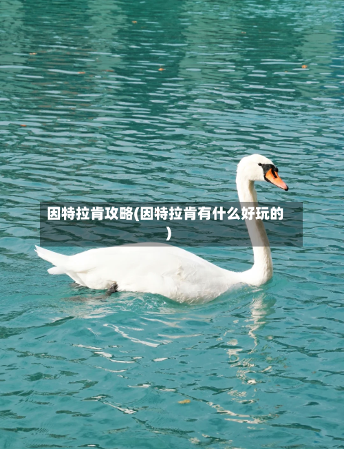 因特拉肯攻略(因特拉肯有什么好玩的)-第3张图片