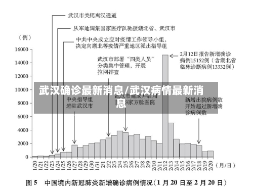 武汉确诊最新消息/武汉病情最新消息