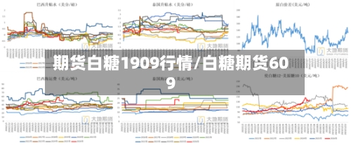 期货白糖1909行情/白糖期货609