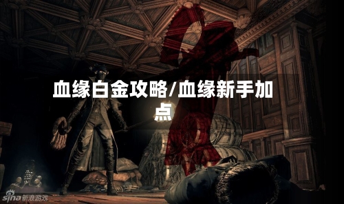 血缘白金攻略/血缘新手加点