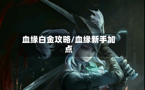 血缘白金攻略/血缘新手加点-第2张图片