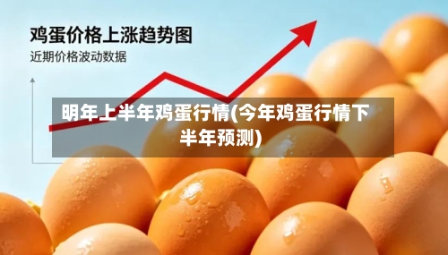 明年上半年鸡蛋行情(今年鸡蛋行情下半年预测)-第2张图片