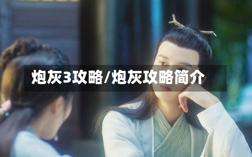 炮灰3攻略/炮灰攻略简介
