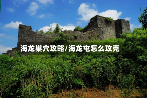 海龙巢穴攻略/海龙屯怎么攻克