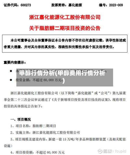 甲醇行情分析(甲醇费用行情分析)-第2张图片