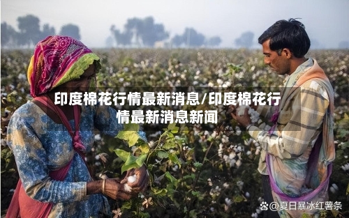 印度棉花行情最新消息/印度棉花行情最新消息新闻