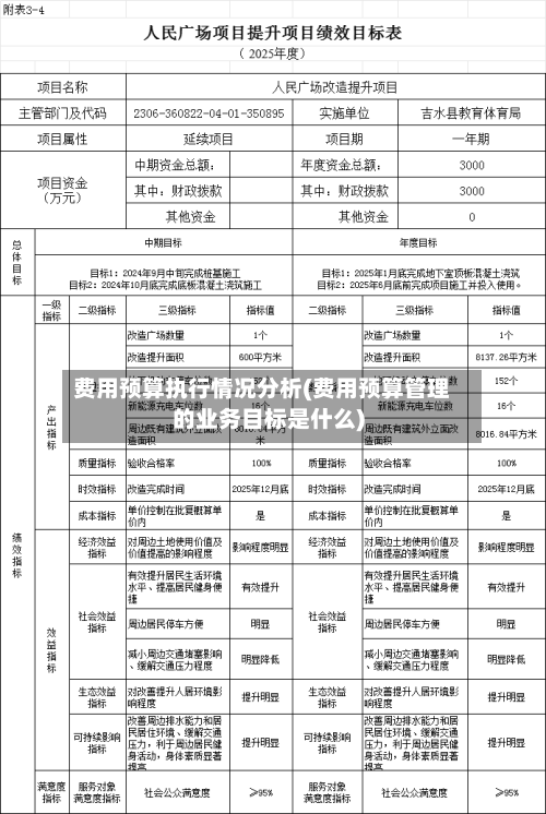 费用预算执行情况分析(费用预算管理的业务目标是什么)