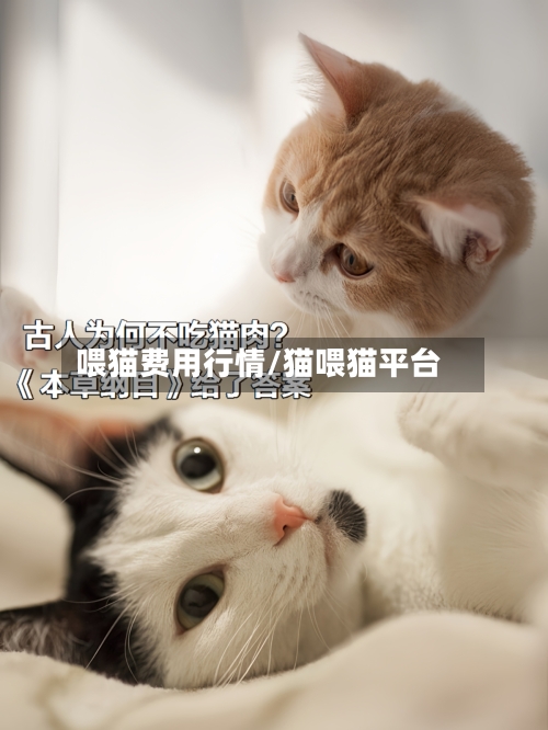 喂猫费用行情/猫喂猫平台