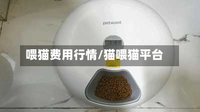 喂猫费用行情/猫喂猫平台-第2张图片