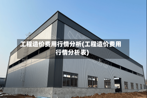 工程造价费用行情分析(工程造价费用行情分析表)