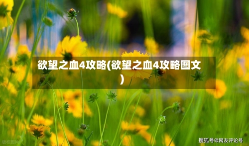 欲望之血4攻略(欲望之血4攻略图文)