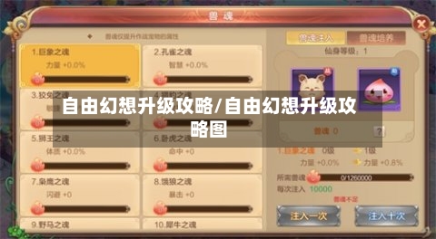 自由幻想升级攻略/自由幻想升级攻略图-第3张图片