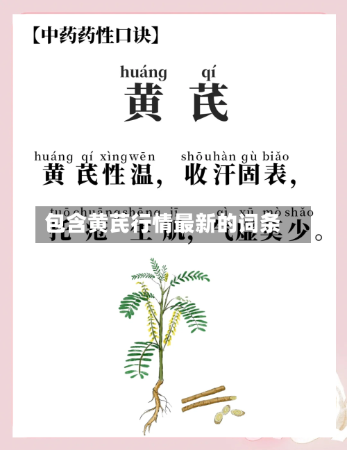 包含黄芪行情最新的词条
