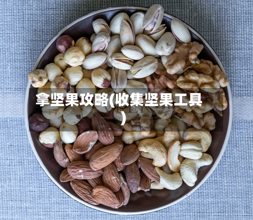 拿坚果攻略(收集坚果工具)