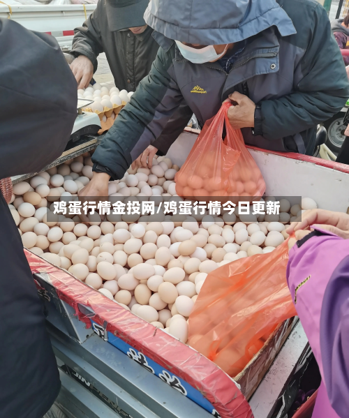 鸡蛋行情金投网/鸡蛋行情今日更新