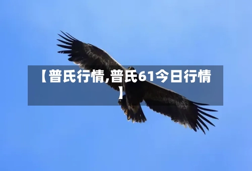 【普氏行情,普氏61今日行情】-第2张图片