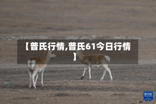 【普氏行情,普氏61今日行情】