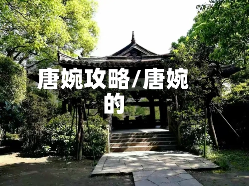 唐婉攻略/唐婉的