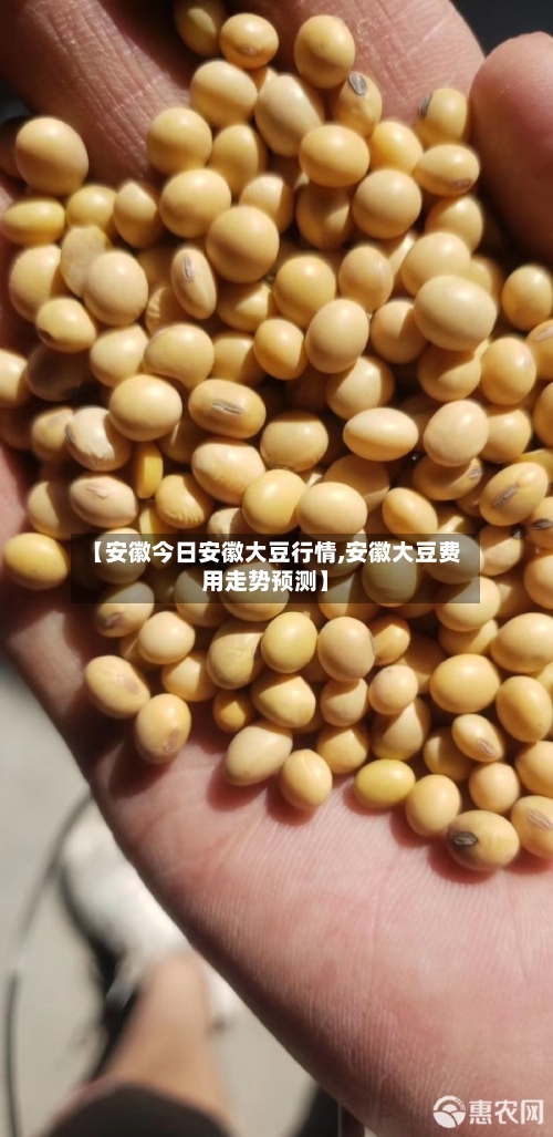 【安徽今日安徽大豆行情,安徽大豆费用走势预测】-第2张图片