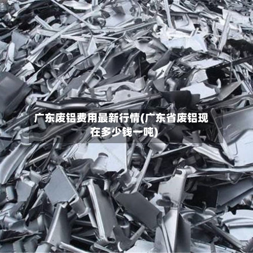 广东废铝费用最新行情(广东省废铝现在多少钱一吨)-第2张图片