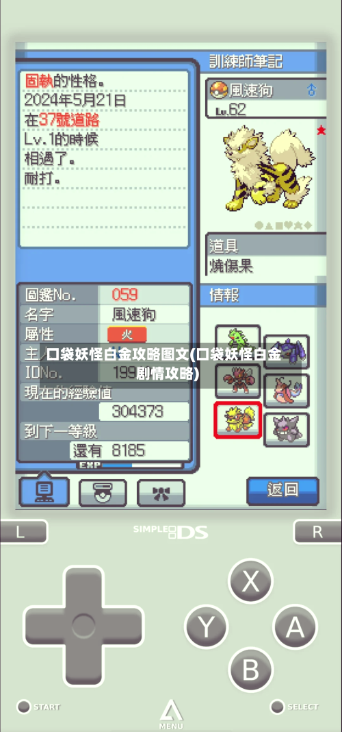 口袋妖怪白金攻略图文(口袋妖怪白金剧情攻略)