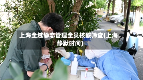 上海全域静态管理全员核酸筛查(上海静默时间)